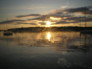 “It was raining and I was in the cabin, looking out through the plastic port, when I captured this golden showers sunset.”