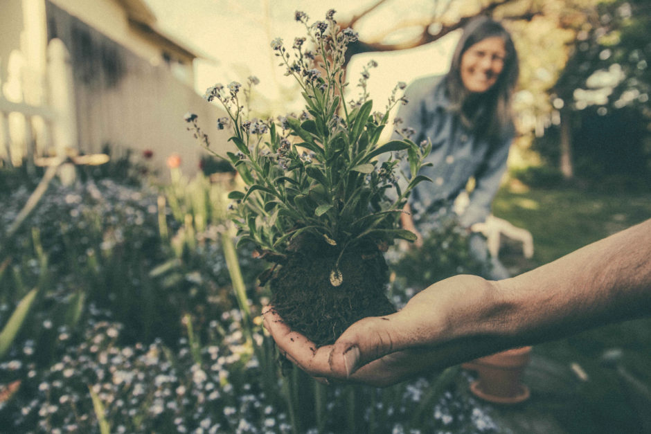 “Green Thumb” by Timothy Boudreau