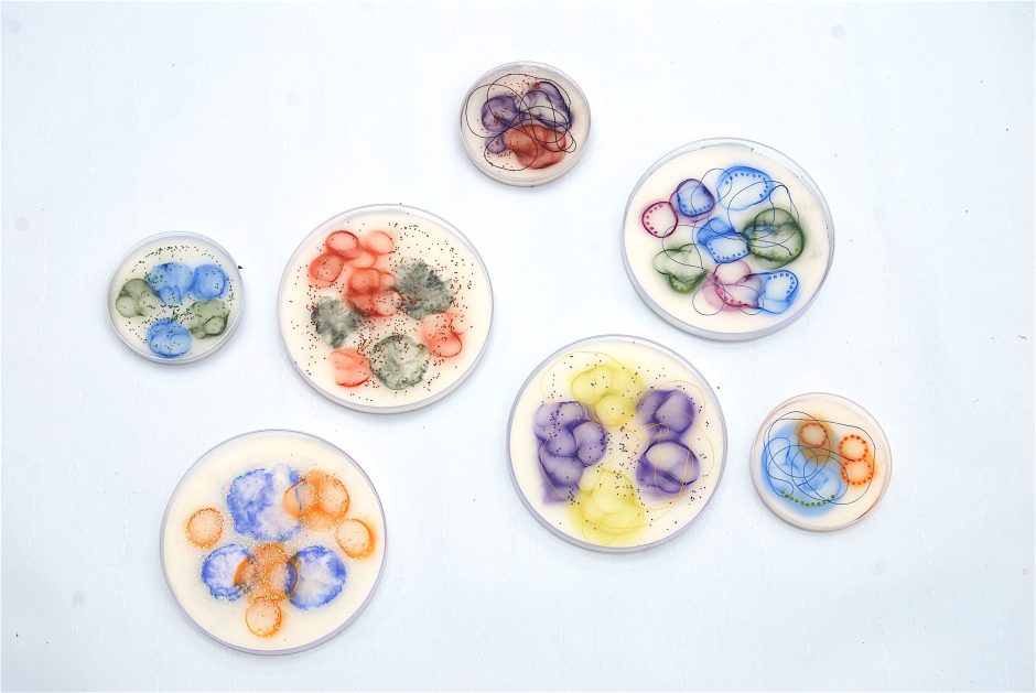 Kay Hartung’s Microbial Visions of An Unseen World