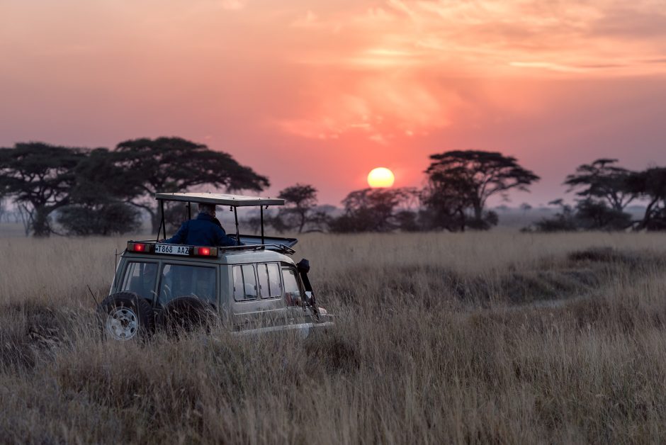 African Safari Campfire Stories by Lesley Mukwacha