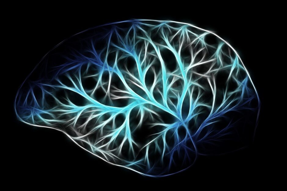 I am Conscious, Therefore I Am