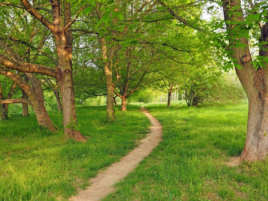 3 Poems by Michael Bruebach